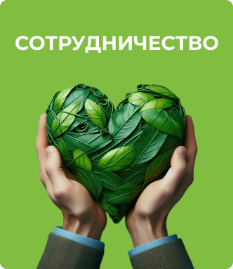 сотрудничество